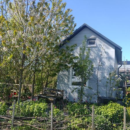 Tuinhuisje In Het Groen Almere Zewnętrze zdjęcie