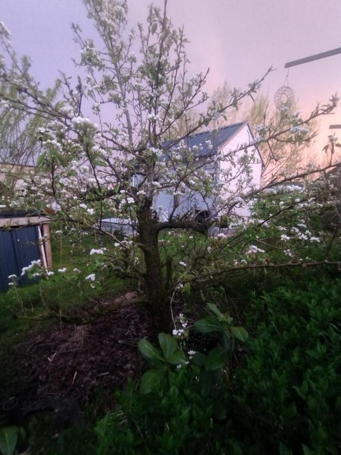 Tuinhuisje In Het Groen Almere Zewnętrze zdjęcie