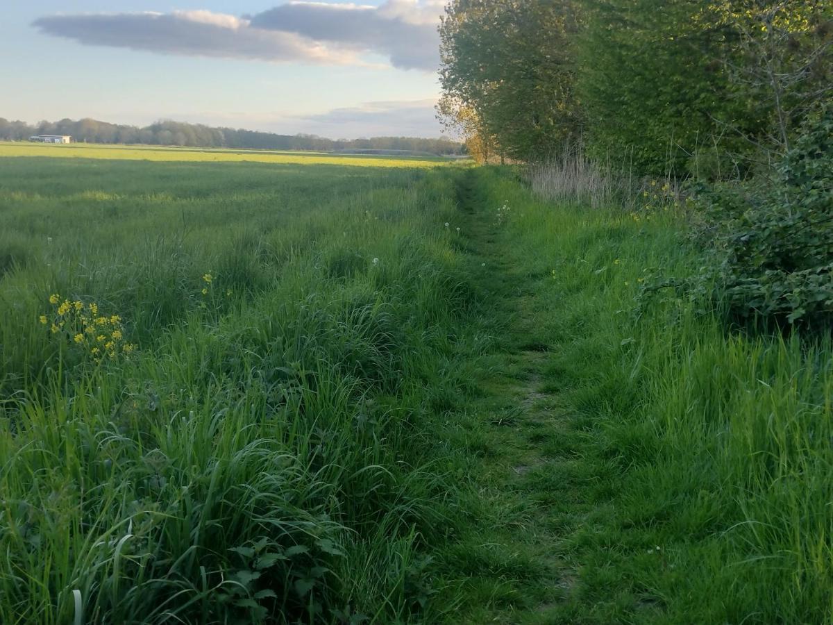 Tuinhuisje In Het Groen Almere Zewnętrze zdjęcie
