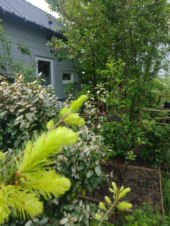 Tuinhuisje In Het Groen Almere Zewnętrze zdjęcie