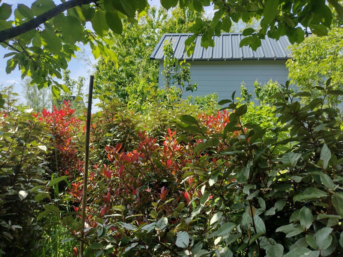 Tuinhuisje In Het Groen Almere Zewnętrze zdjęcie