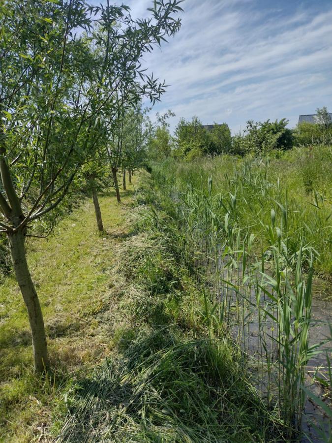 Tuinhuisje In Het Groen Almere Zewnętrze zdjęcie