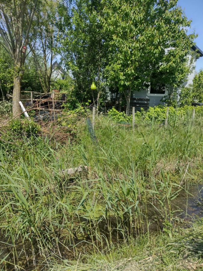 Tuinhuisje In Het Groen Almere Zewnętrze zdjęcie
